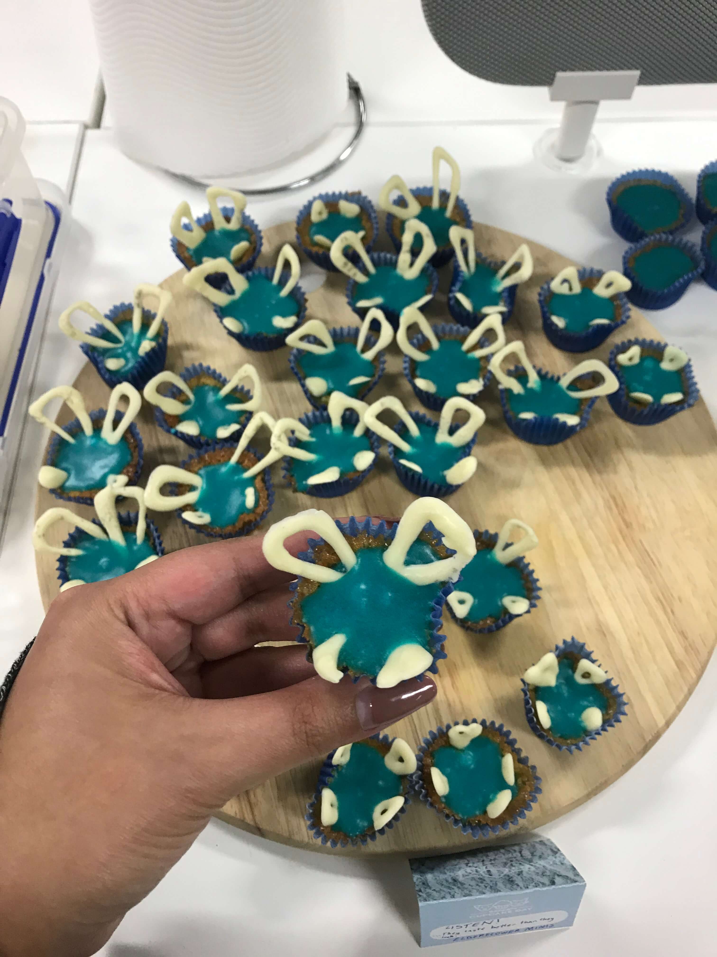 Chaos Theory Games RSPCA Cupcake Day GamePlus Hub Sydney