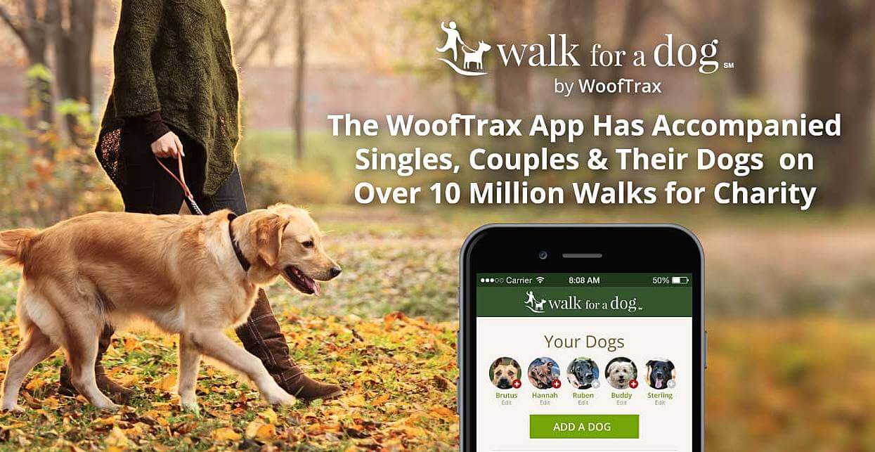 A simple mobile app that can incentivise action